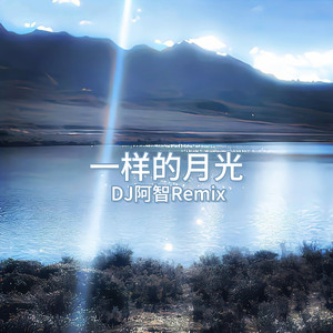 扒开美女狂揉❌桃花源
